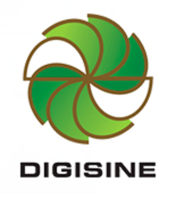Digisine Energytech Co.,Ltd.